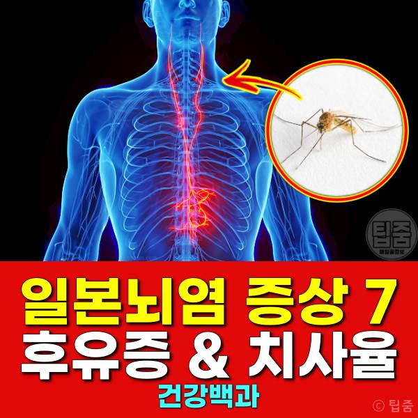 일본뇌염 증상 후유증 치사율 예방접종 가격