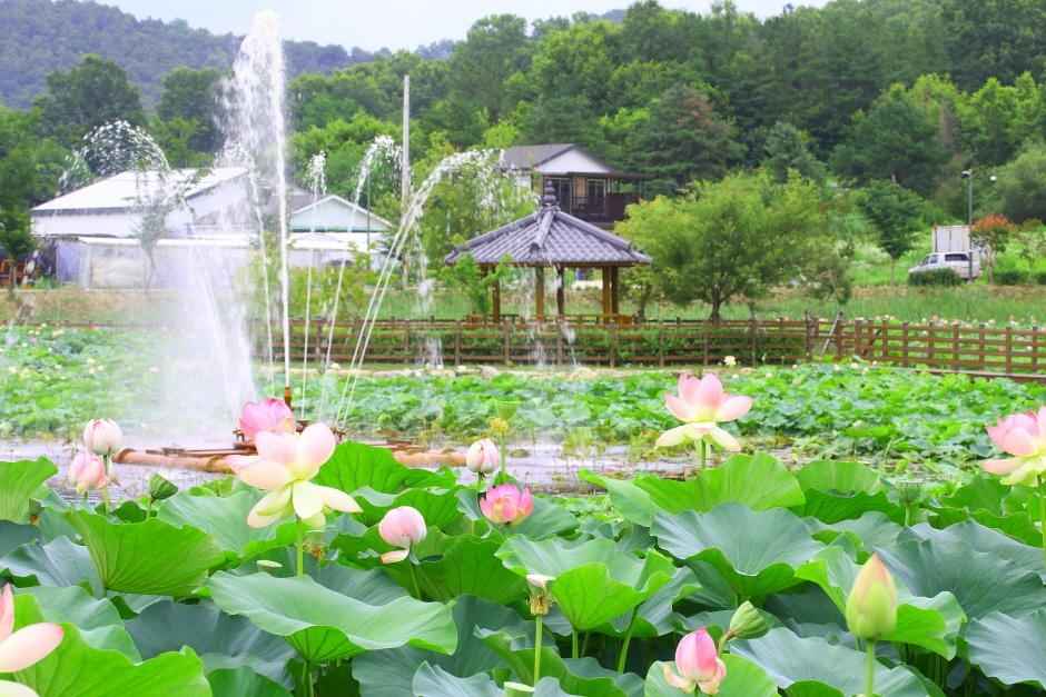 성주 뒷미지수변공원