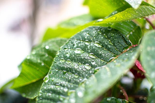 위헌결정된 법률 조항을 근거로 기소된 사건의 대응 전략