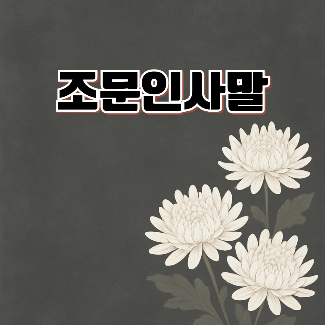 조문 인사말&middot;부고문자&middot;장례 답례문 총정리 🕊 부친상&middot;모친상&middot;친구상 위로말부터 부고장 양식&middot;감사 인사 예시까지 한눈에 보는 예절 가이드
2026 전기기사 시험 완벽 가이드 일정등 ⚙️ 필기&middot;실기 합격률&middot;난이도&middot;공부법│전기산업기사와 차이까지 정리 
글루타치온 효능&middot;부작용&middot;복용법 총정리 💊 여에스더&middot;나우푸드&middot;쏜리서치 글루타치온 비교│미백&middot;항산화&middot;간해독 효과 한눈에 보기
대전&middot;천안&middot;공주&middot;태안 핑크뮬리 명소 총정리 🌸 정주골&middot;창주&middot;세종&middot;전주 감성 핑크빛 여행지 BEST 10│가을 인생샷 포토존 가이드
🍁 11월 인사말 모음 🍂 월초&middot;요일별 따뜻한 문장 총정리│가을 끝&middot;겨울 시작에 전하기 좋은 카톡&middot;밴드 메시지│직장&middot;지인&middot;가족에게 보내는 따뜻한 하루 인사말 50선