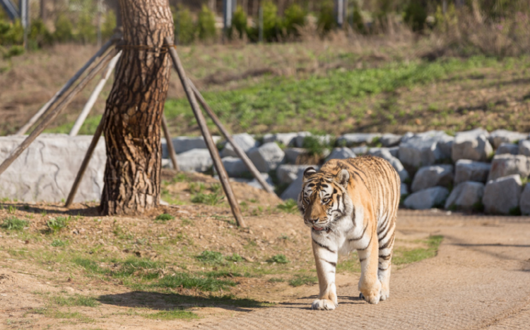 백두대간 수목원