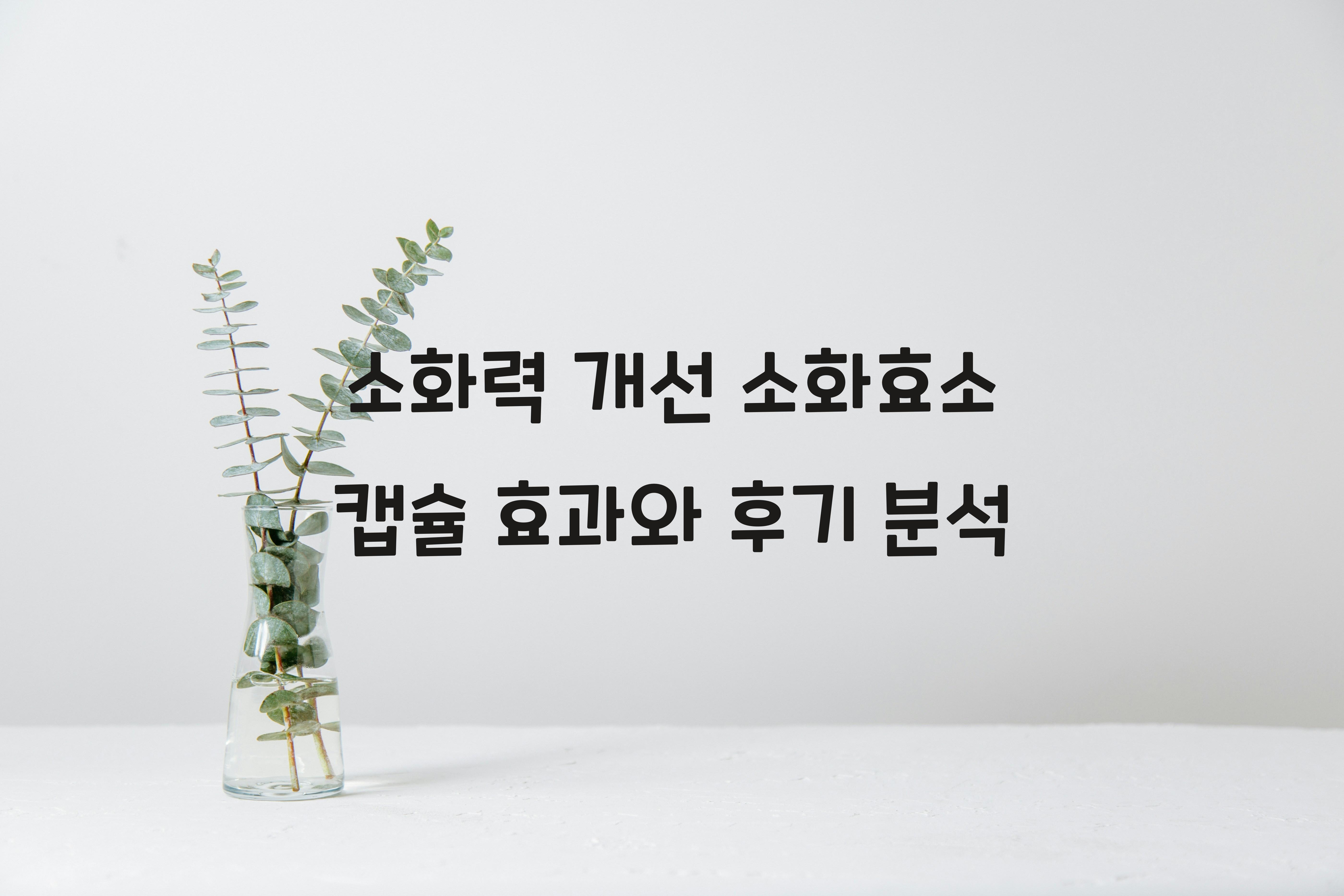 소화력 개선 소화효소 캡슐