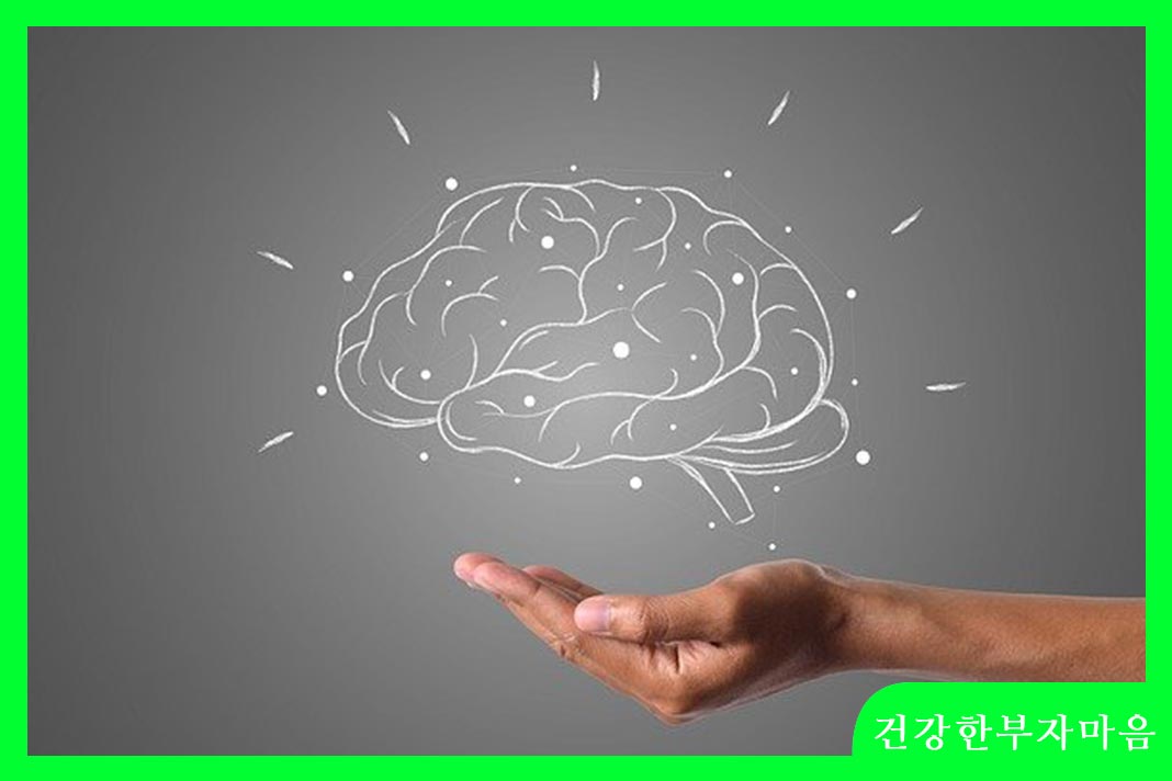 뇌출혈 원인