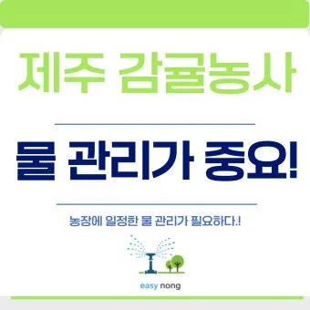 농사 물 관리 비가림 설치 배수로 정비 가뭄 대비 빗물 저장_22