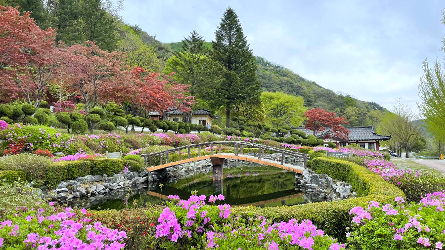 베론성지 연못