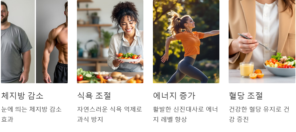 스위치온 다이어트 장점
