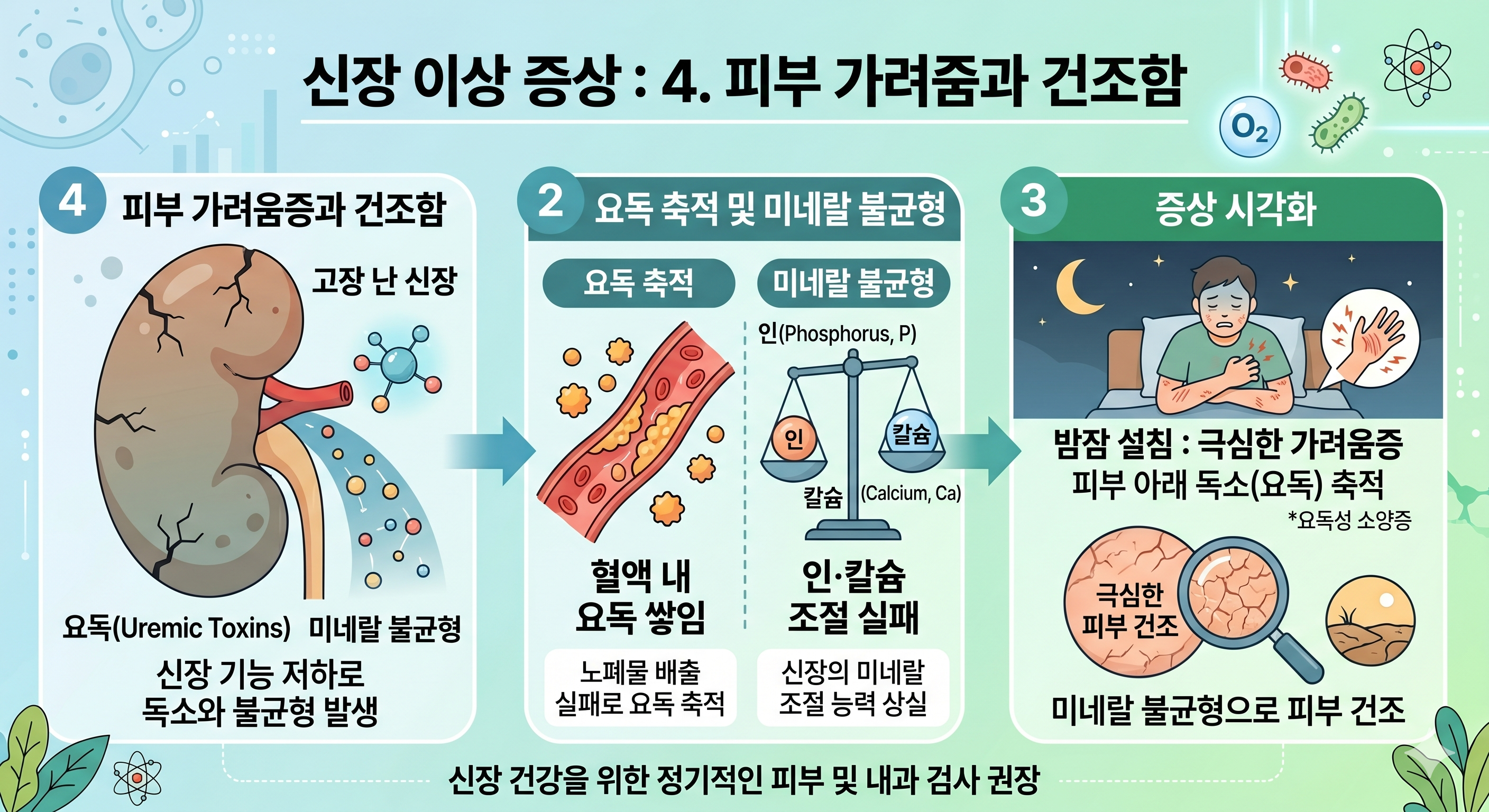 신장 이상으로 노폐물이 피부에 축적되면 가려움 유발