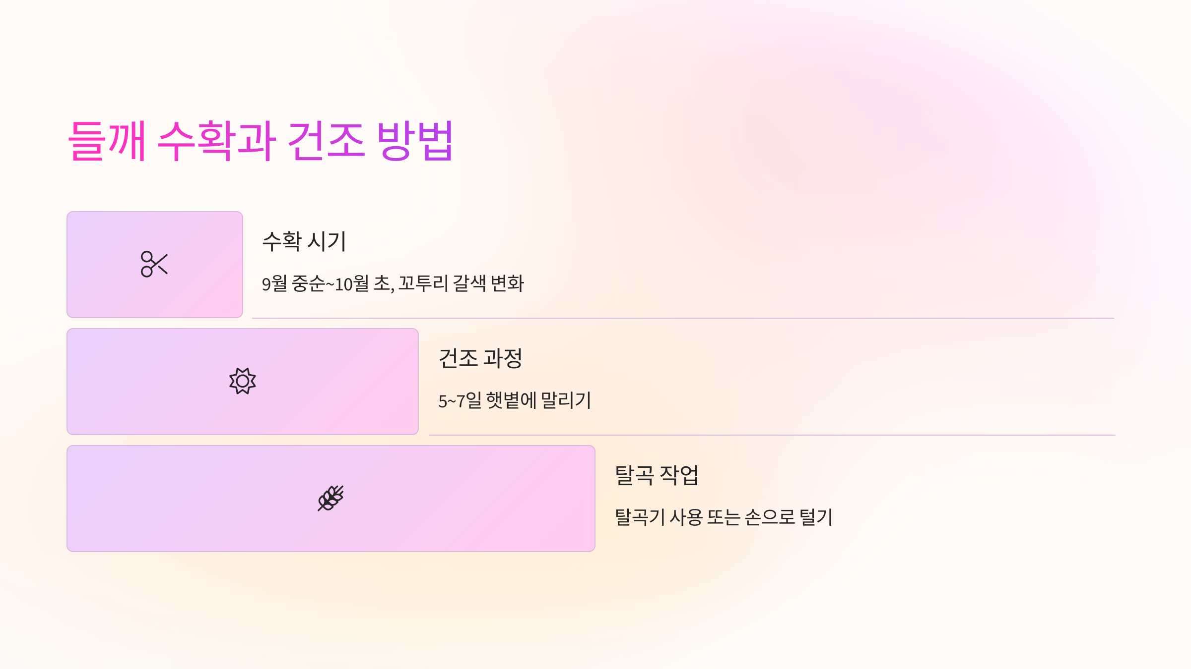 🌾 들깨 수확과 건조 방법