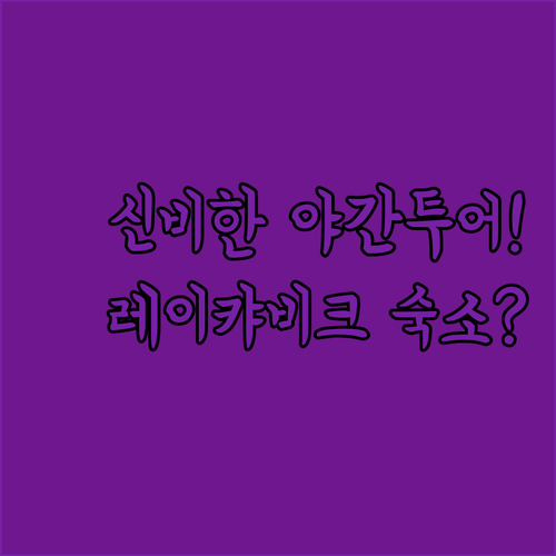 아이슬란드 역사 유적 전시관 야간 투..