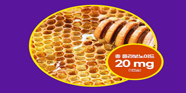 통풍-프로폴리스