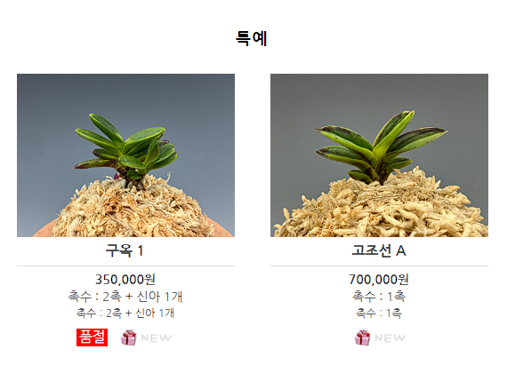 난테크 수익
