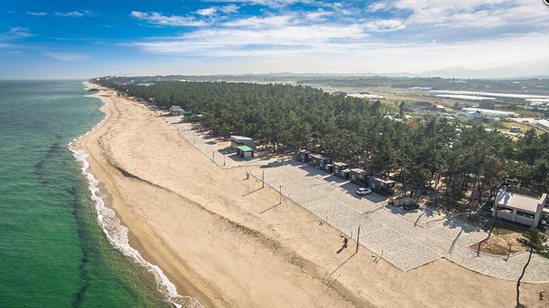 연곡 솔향기 캠핑장 예약
