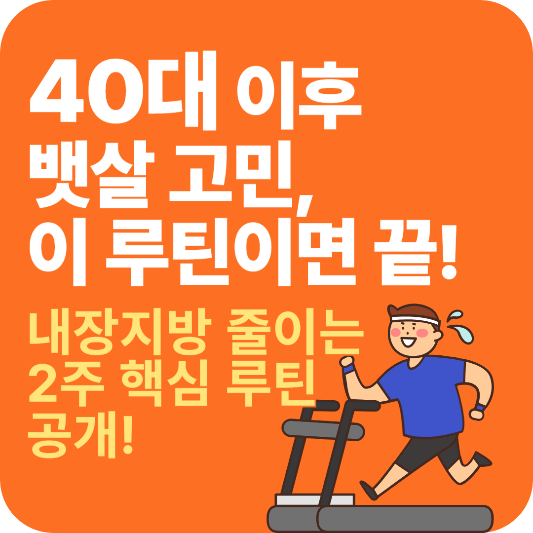 40대 이후 다이어트 뱃살 고민 내장지방 줄이는 루틴
