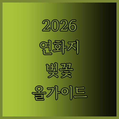 2026년 김천 연화지 벚꽃 개화 시..