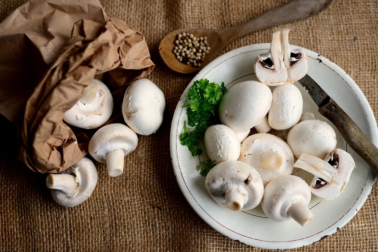 같은 재료로 다른 손질한 사진