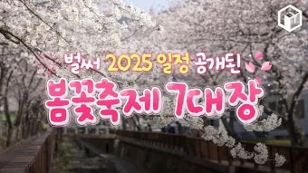 2025년 축제 일정 남한산성 곡성 연천 담양 서울 포항 대구 남양주_4