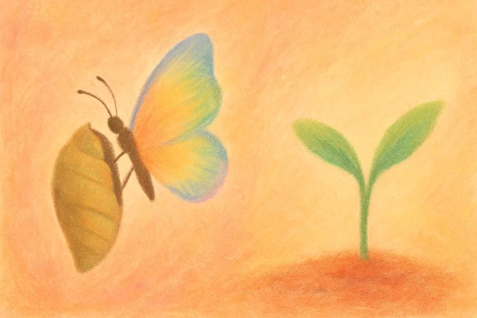 번데기에서 나비가 나오는 순간과 씨앗에서 새싹이 돋아나는 성장의 과정을 담은 부드러운 파스텔 일러스트