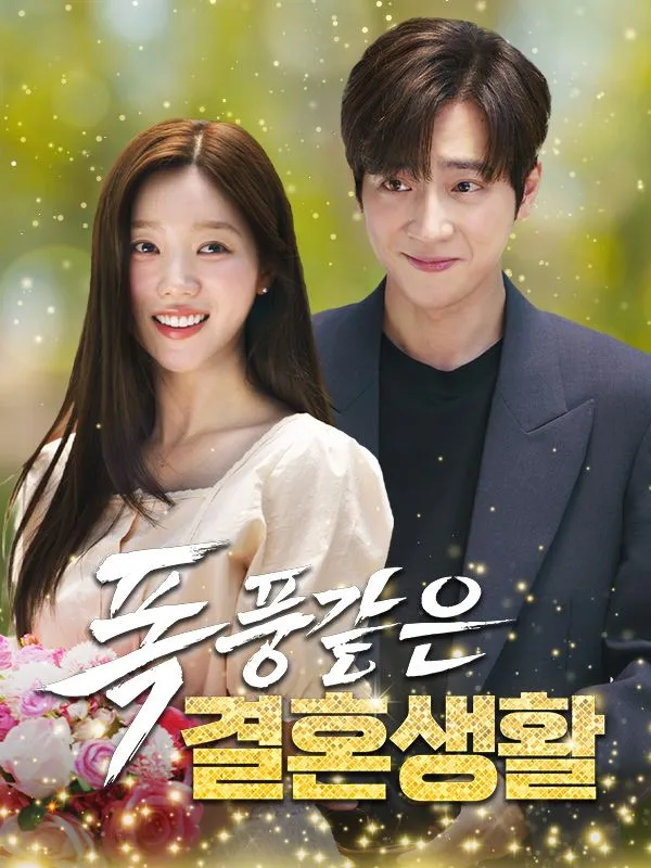 폭풍같은 결혼생활 포스터