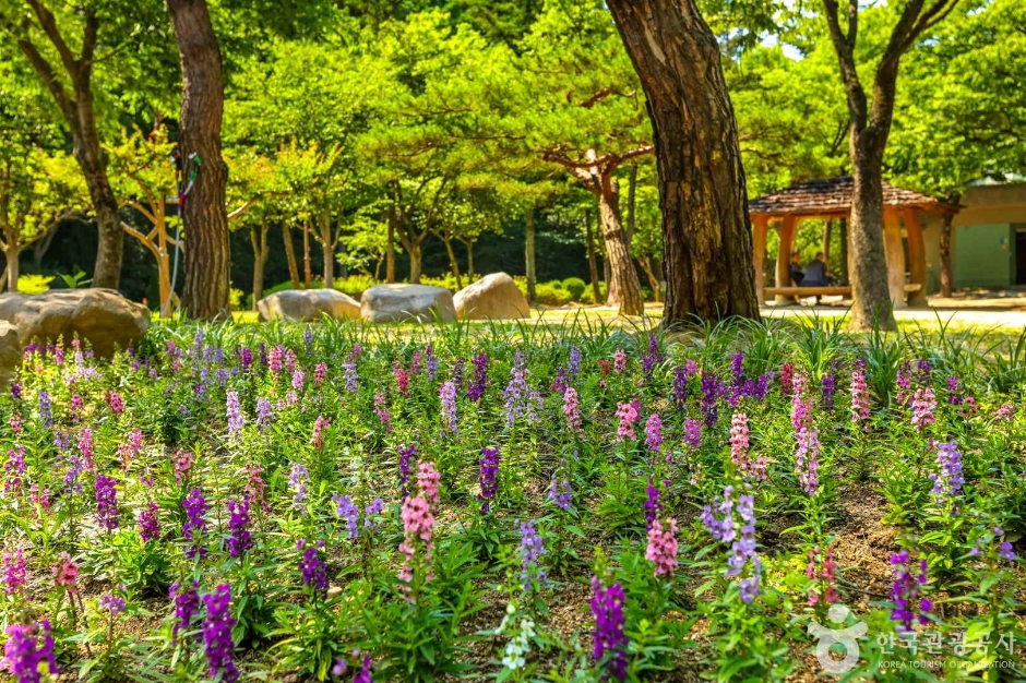 대구 가볼만한곳 베스트10