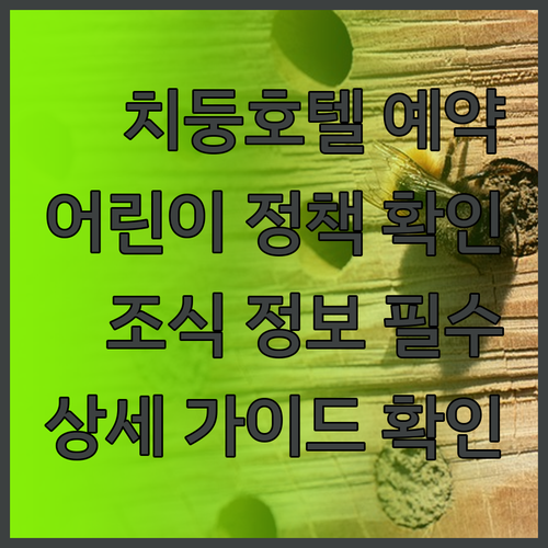 치둥 호텔 예약 전 꼭 확인하세요 어
