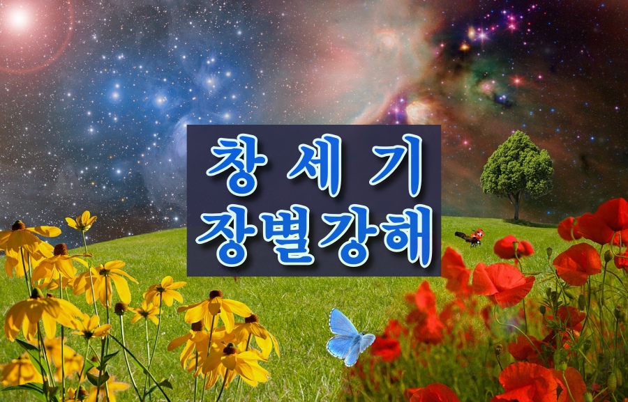 창세기 장별 강해