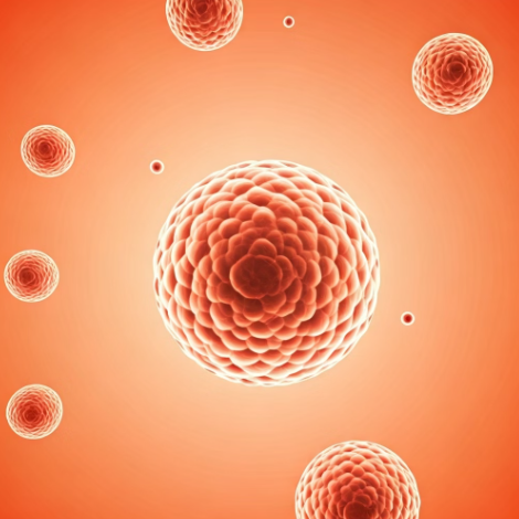 코큐텐의 핵심 효능 3가지