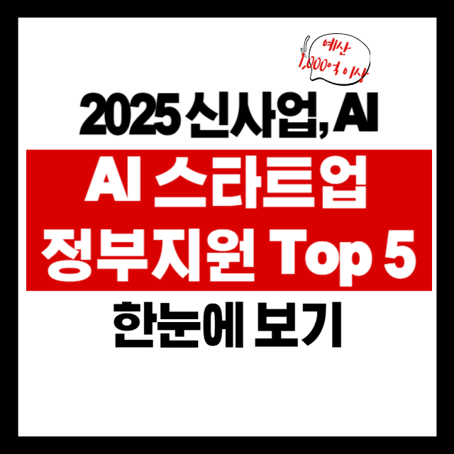 🧠 AI 스타트업 창업자를 위한 정부 지원 프로그램 TOP 5 비교