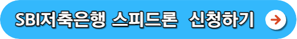소액대출