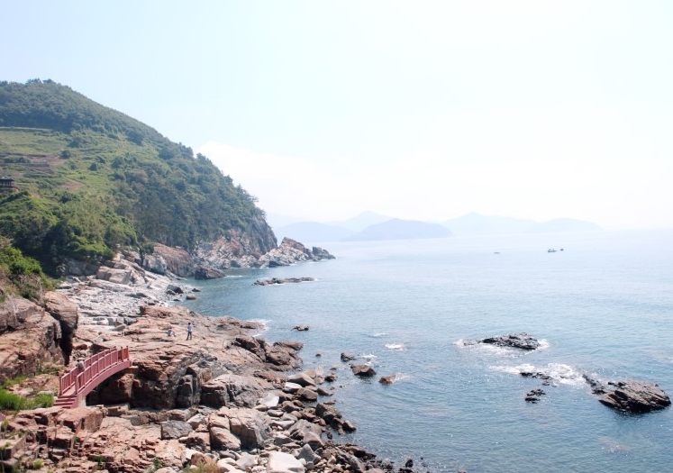 남해 다랭이마을 수국길 + 남해시장