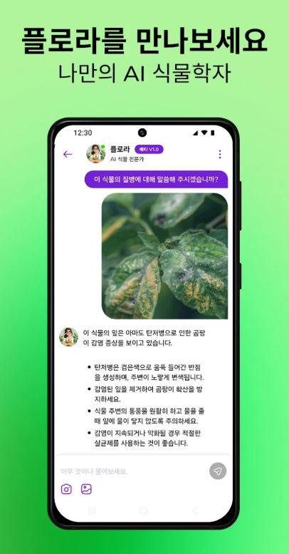 식물이름 찾기 어플 꽃 사진 검색