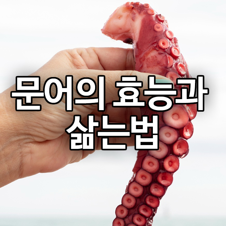 문어의 효능과 삶는법