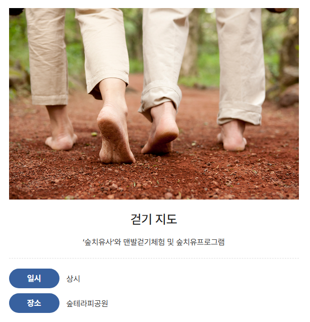 걷기 지도