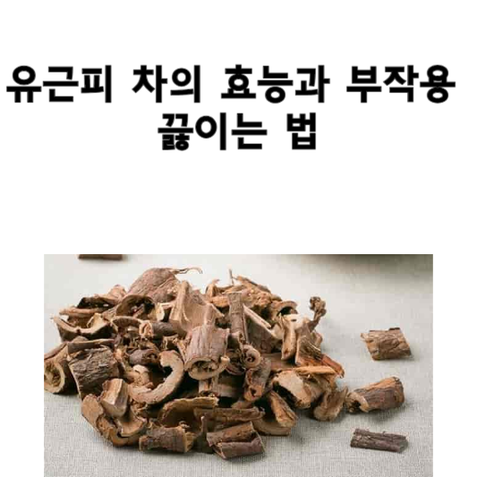 유근피 차의 효능과 부작용&#44; 끓이는 법