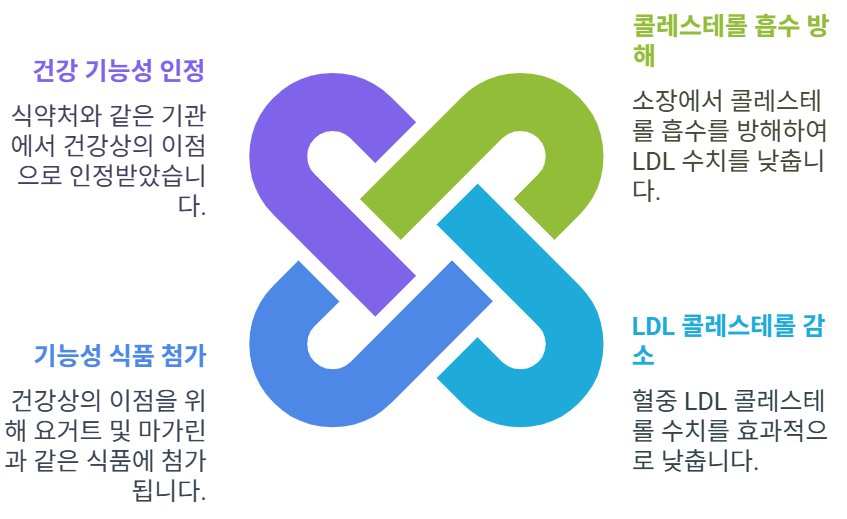 식물 스테롤/스타놀의 건강상의 이점