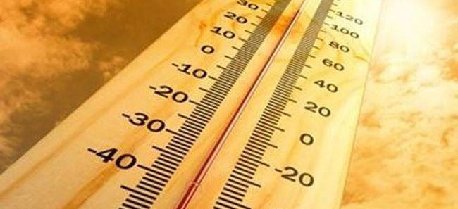 기후변화로 바뀌어 버린 질병 발생패턴