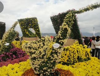 11월 국내여행지 추천 BEST 10