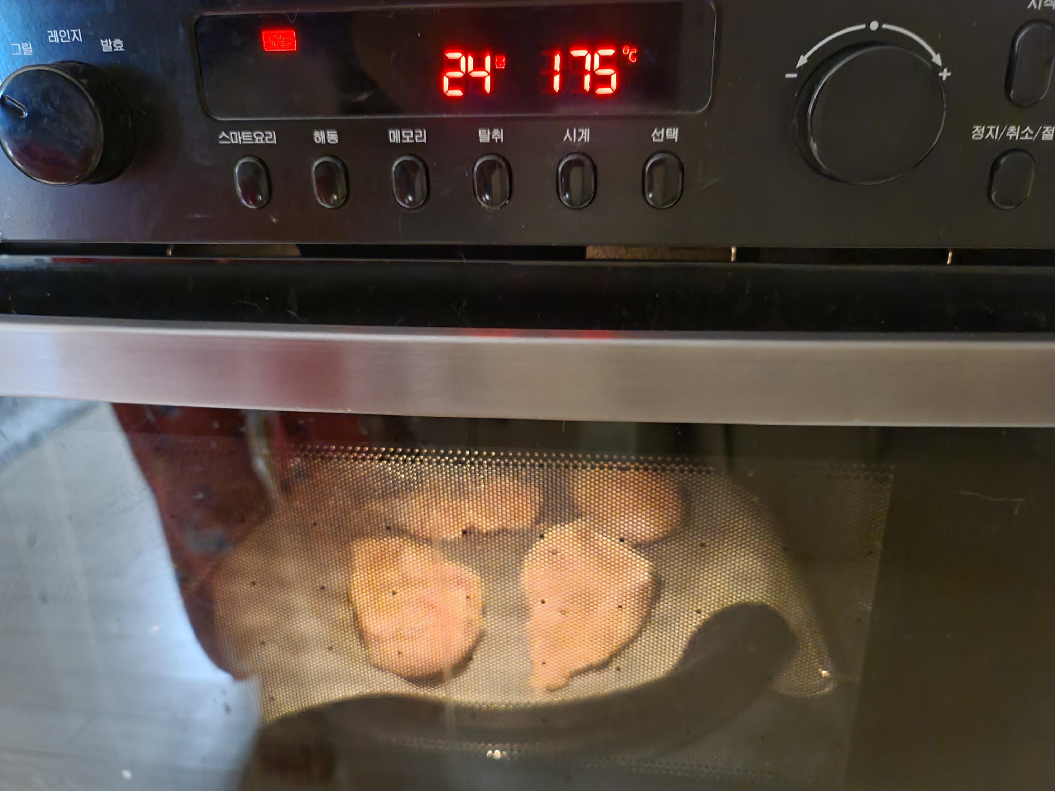 사람말 알아듣는 고양이. 사료를 먹지않는 고양이.