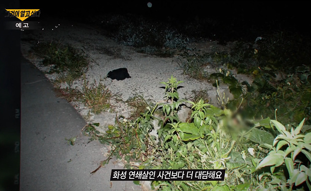 그것이 알고싶다 목포 여대생 살인사건 범인 나비 1431화