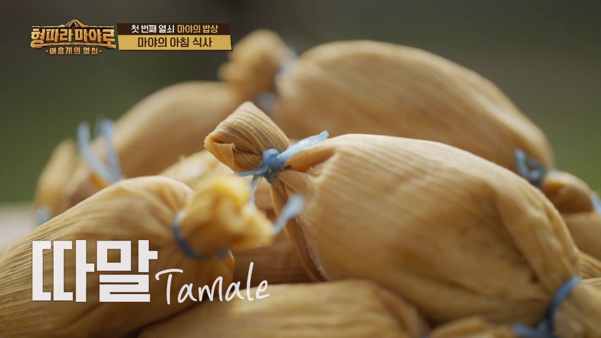 형따라 마야로