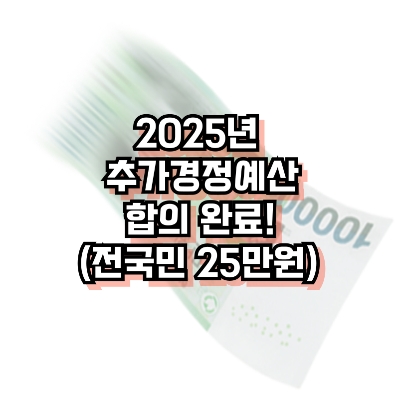 2025년 추가경정예산 합의 완료!(전국민 25만원)