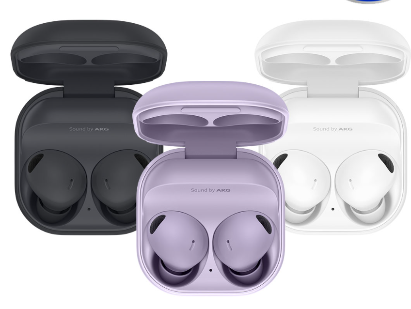 삼성 Galaxy Buds 2