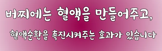 버찌에는 혈액을 만들어주고, 혈액순환을 촉진시켜주는 효과가 있습니다