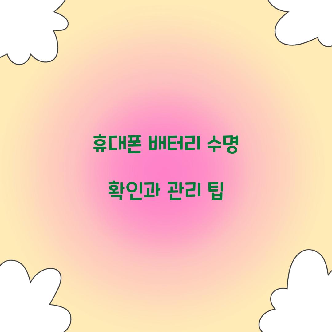 휴대폰 배터리 수명 확인
