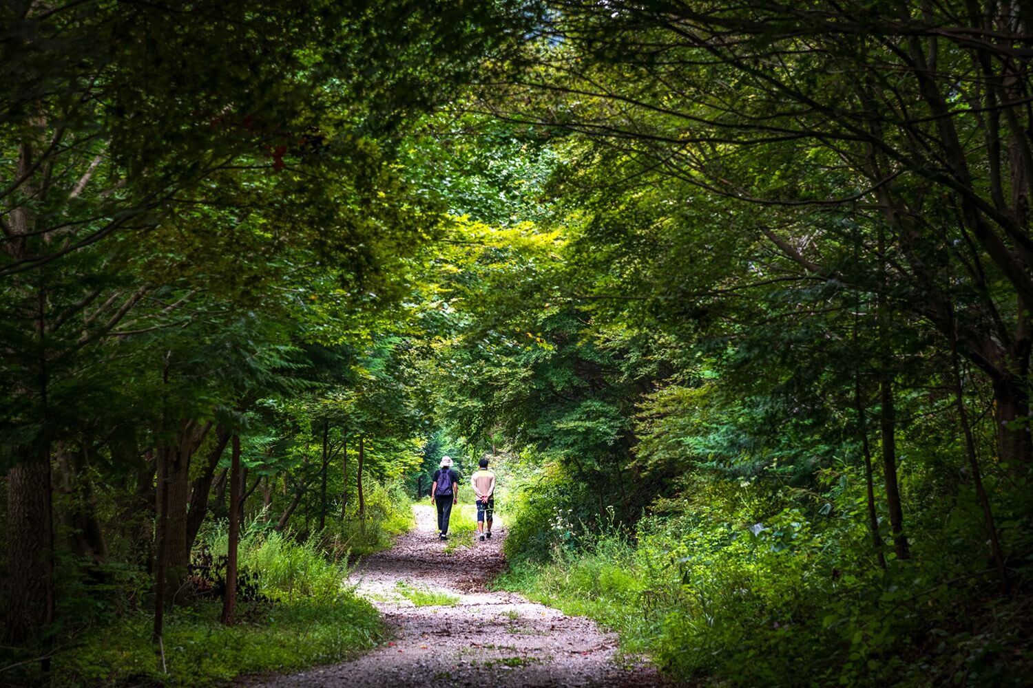 논산 온빛자연휴양림 단풍 명소 예약