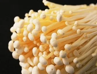 팽이버섯 효능_20