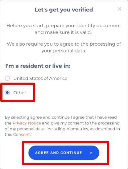 미국 국적과 그 외의 국적 중 하나를 선택하는 창