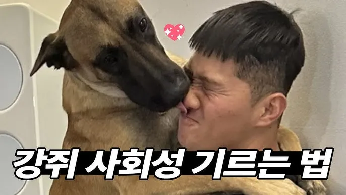 강아지가 다른 강아지 싫어하는 원인과 해결법_4