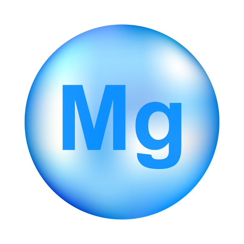 칼슘 많은 음식