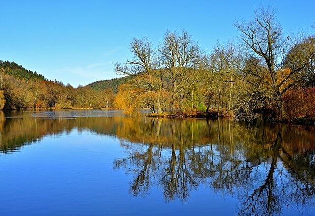 리질리언트 바이 디자인 공모전