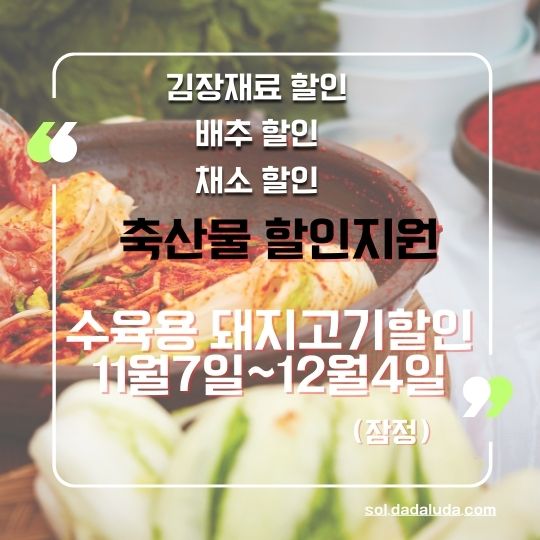 김장 재료 할인 채소 할인 배추